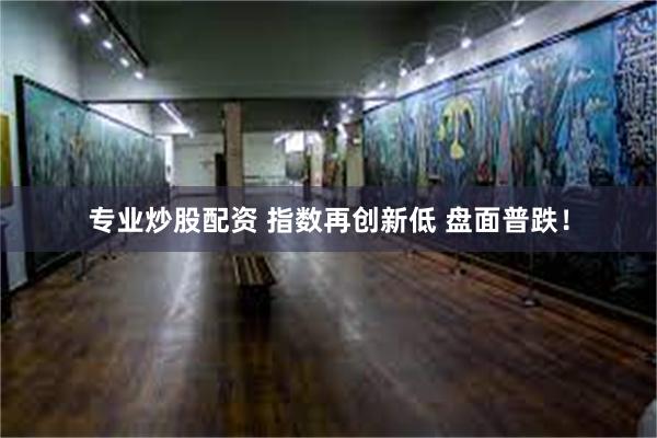 专业炒股配资 指数再创新低 盘面普跌！