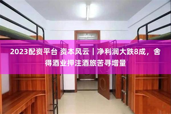 2023配资平台 资本风云｜净利润大跌8成，舍得酒业押注酒旅苦寻增量