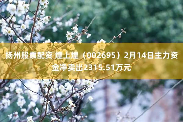 扬州股票配资 煌上煌（002695）2月14日主力资金净卖出2315.51万元