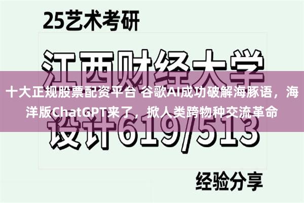 十大正规股票配资平台 谷歌AI成功破解海豚语，海洋版ChatGPT来了，掀人类跨物种交流革命