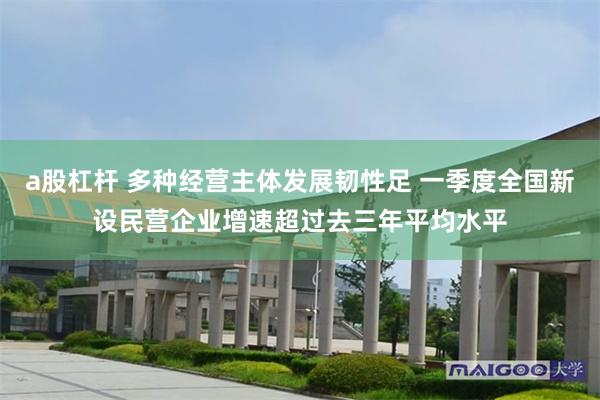 a股杠杆 多种经营主体发展韧性足 一季度全国新设民营企业增速超过去三年平均水平