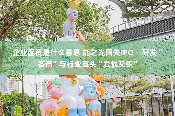 企业配资是什么意思 能之光闯关IPO    研发“吝啬”与行业巨头“爱恨交织”