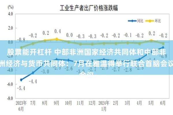 股票能开杠杆 中部非洲国家经济共同体和中部非洲经济与货币共同体：7月在雅温得举行联合首脑会议
