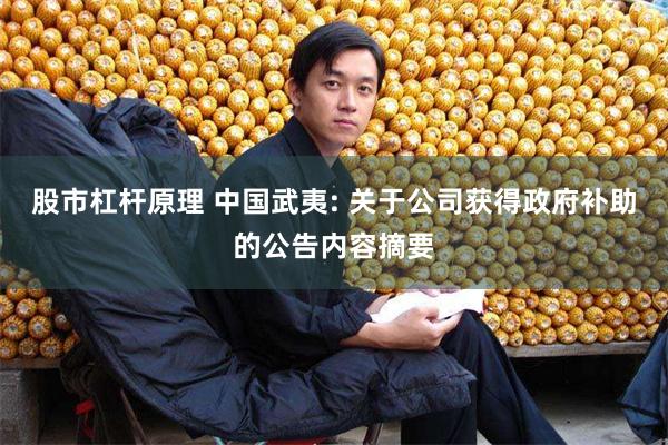 股市杠杆原理 中国武夷: 关于公司获得政府补助的公告内容摘要