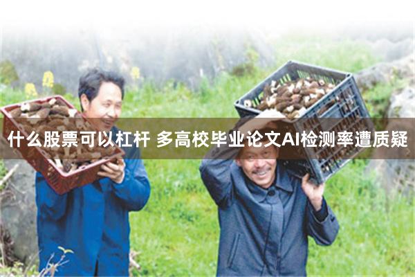 什么股票可以杠杆 多高校毕业论文AI检测率遭质疑